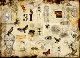 Roycycled Decoupage Paper - Halloween Masterboard 23