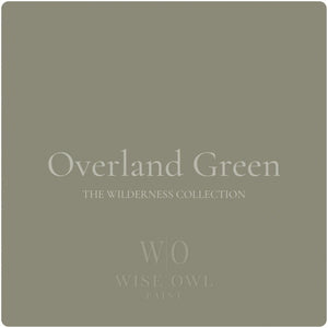 Wise Owl One Hour Enamel - Overland Green