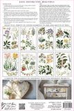 IOD Transfer - Sarah Featon's Botanicals 8x12 Pad