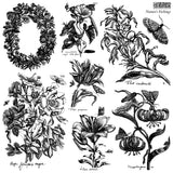 Iron Orchid Design Stamp - Nature's Etching - 2 Stamp Set