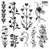 Iron Orchid Design Stamp - The Connossieur's Library 6X6 Stamp Set