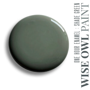 Wise Owl One Hour Enamel - Shade Green