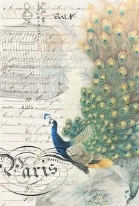 Roycycled Decoupage Paper - Peacock Ephemera Right
