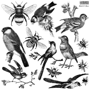 Iron Orchid Design Stamps - Birds and Bees 12x12