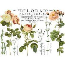 IOD Transfer - Flora Parisiensis 12x16 Pad