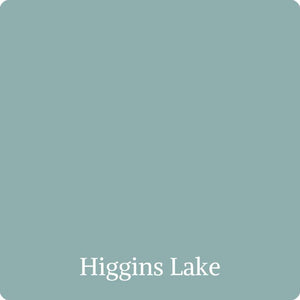 Wise Owl One Hour Enamel - Higgins Lake