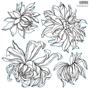 Iron Orchid Design Stamps - Chrysanthemums 12x12 Double