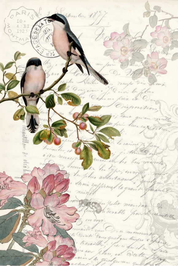 Roycycled Decoupage Paper - Spring Bird Ephemera